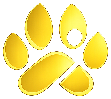 pikaboo.store